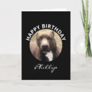 Search for pit cards Animal