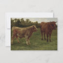 Search for two cows cards Cattle