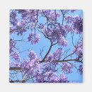 Search for violet floral magnets Blue