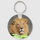 Search for zoo keychains King