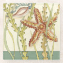 Search for shells coasters Chariklia zarris