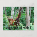 Search for vegetarianism postcards Animals