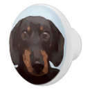 Search for dachshund knobs and pulls Dogs