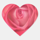 Search for red rose flowers stickers Photography