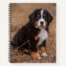 Search for bernese mountain dog gifts Canine