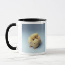 Search for blue pig mugs Animal