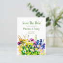 Search for painted daisies invitations Summer