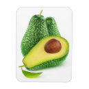 Search for avocado magnets Vegetable