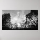 Search for cloudy posters Nature