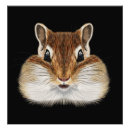 Recherche de rongeurs posters Animal
