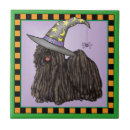 Recherche de halloween home accents Sorcière