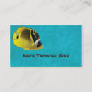 Search for tropical fish Yellow
