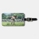 Search for foal accessories Ponies
