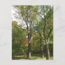 Search for plant trees postcards Autumn