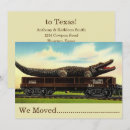 Search for funny alligator Florida