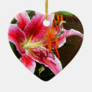Recherche de mensonge ornements Rose