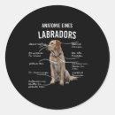 Search for anatomy stickers Puppy