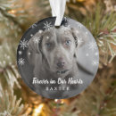 Recherche de dogs pet memorial ornaments Chien