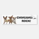 Search for chihuahua bumper stickers Animals