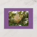 Search for gloss business cards White