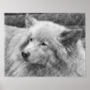 Search for mutt posters Black