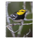 Search for habitat notebooks Bird