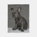 Search for french bulldog blankets Cute