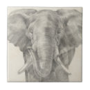 Search for elephant tiles Safari