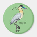 Search for cap magnets Bird
