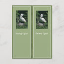Search for bookmarker postcards Colourful