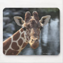 Recherche de tête girafe tapis souris Dehors