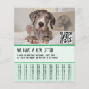 Recherche de chiot prospectus Doggenhaus