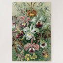 Recherche de poster vintage puzzles Coloré