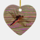 Recherche de libellules ornements Nature