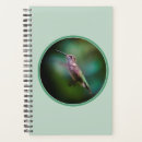 Search for ruby throat Photograph