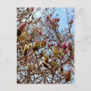 Recherche de bourgeon cartes postales Pour tous