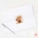 Search for mixed breed dog stickers Adorable