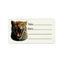 Search for attack labels Cat