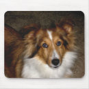 Recherche de shetland tapis souris Chien