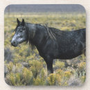 Recherche de mustang dessous de verres Désert