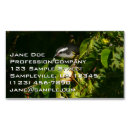 Recherche de birds visitenkarten Nature