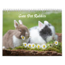 Search for bunny rabbit calendars Lion