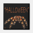 Search for tarantulas magnets Halloween