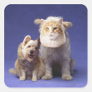Search for sit ups stickers Animal body part
