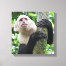 Search for monkey painting canvas prints Animal