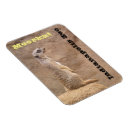Recherche de saleté magnets Animal