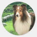 Search for dog leads Pets