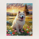 Recherche de samoyed puzzles Samoyède