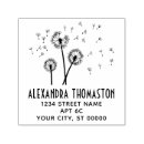 Search for dandelion seed Wind