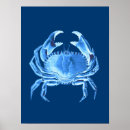 Recherche de crab posters Bleu marine